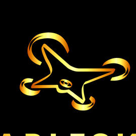 StableSkies Drone Services